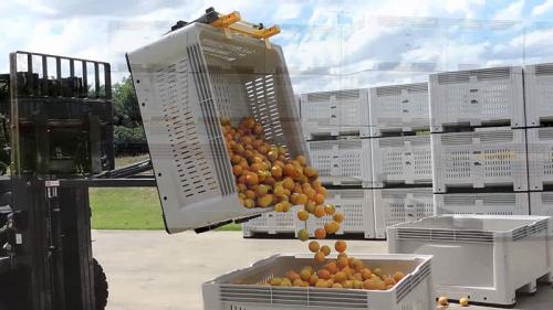 Bin Tipper Tipping Oranĝa